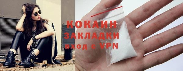 дживик Горнозаводск