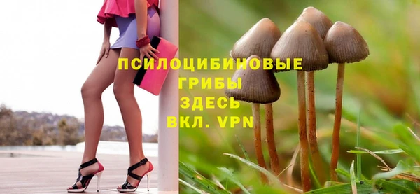 PSILOCYBIN Горно-Алтайск