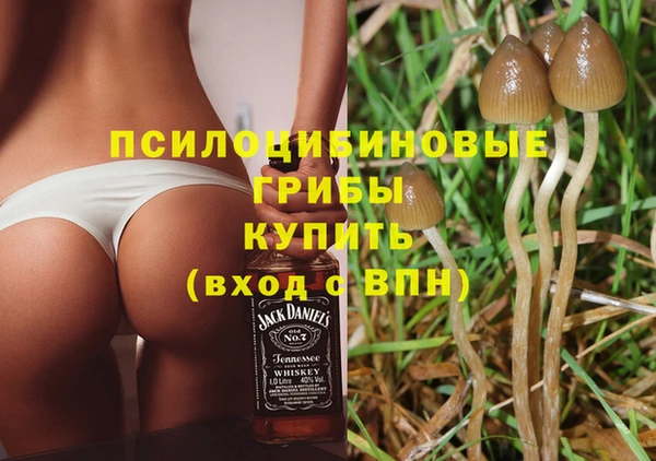 молекула духа Горняк