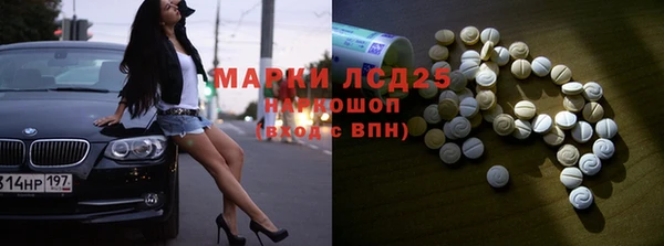 PSILOCYBIN Горно-Алтайск