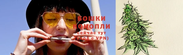 PSILOCYBIN Горно-Алтайск