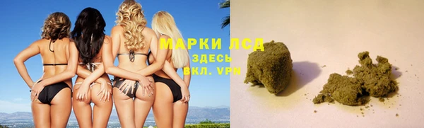 PSILOCYBIN Горно-Алтайск