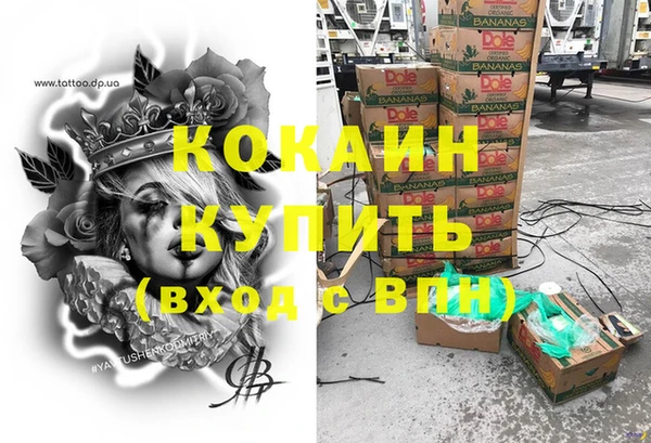 PSILOCYBIN Горно-Алтайск
