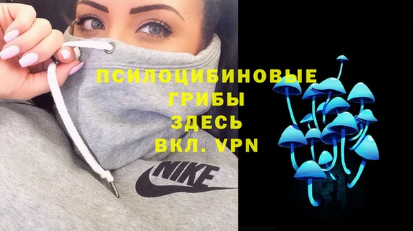 молекула духа Горняк