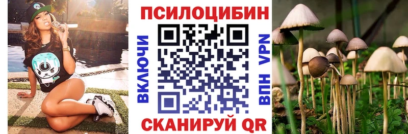 Псилоцибиновые грибы мицелий Данилов