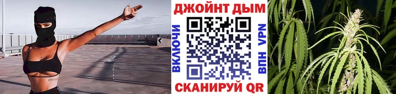 Конопля ГИДРОПОН  Данилов 